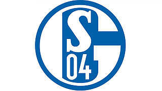 2600 Euro Geldstrafe für den FC Schalke 04